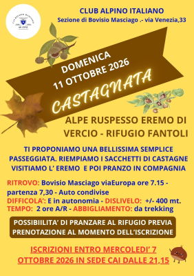 Locandina Castagnata
